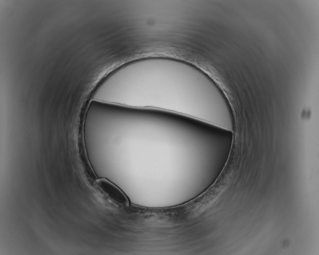 X0000102250434200807250904