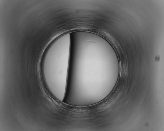 X0000102250435200807250904