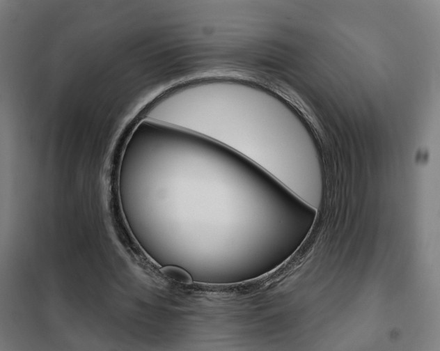X0000102250436200807250904