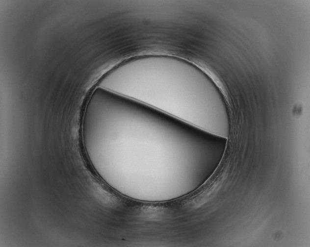 X0000102250437200807250904