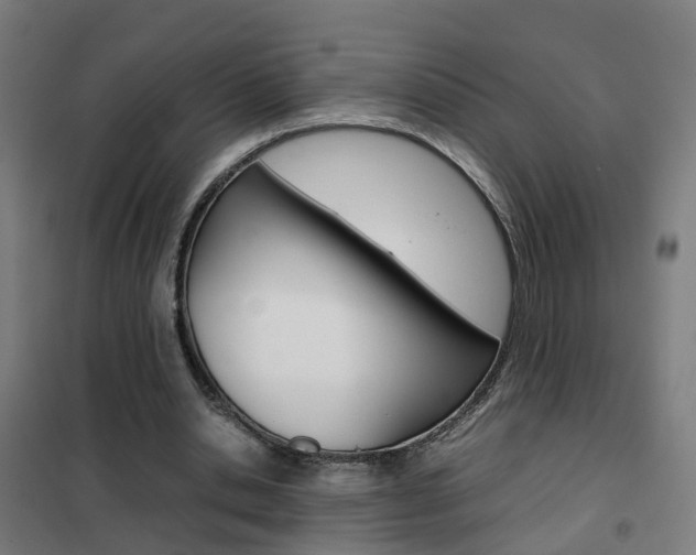 X0000102250438200807250904