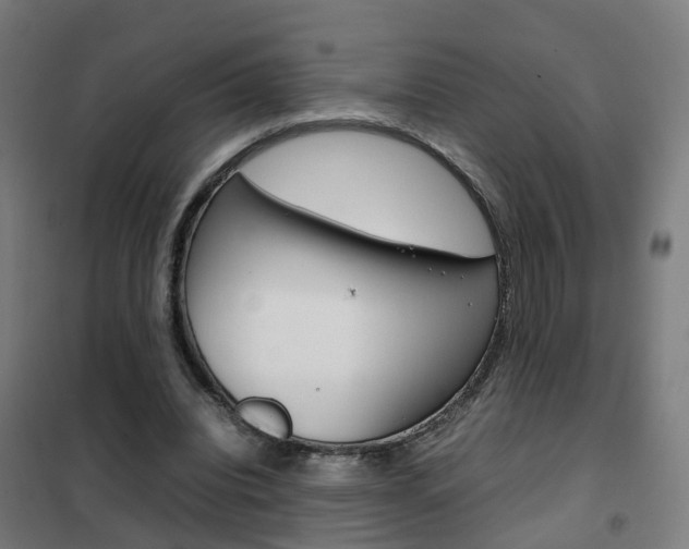 X0000102250440200807250904