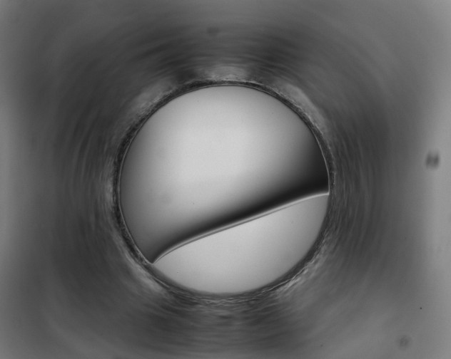 X0000102250441200807250904