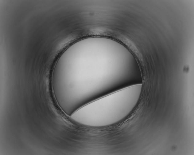 X0000102250442200807250904