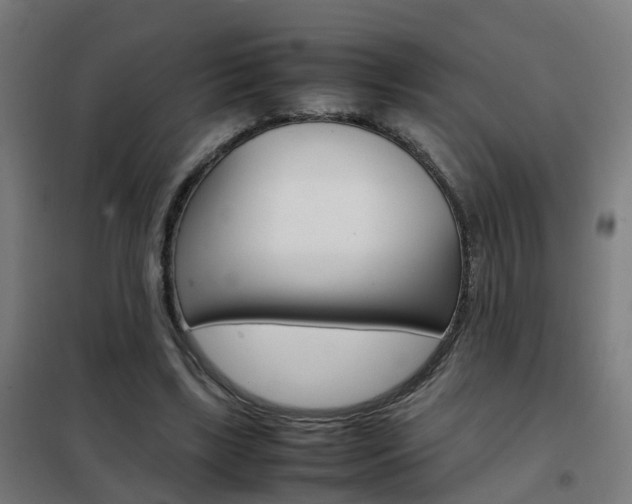 X0000102250443200807250904