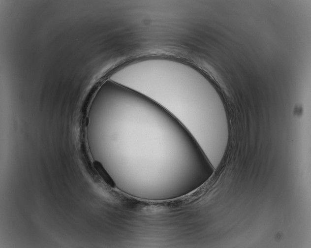 X0000102250444200807250904