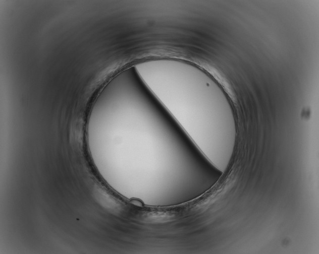 X0000102250445200807250904