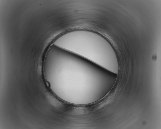 X0000102250446200807250904