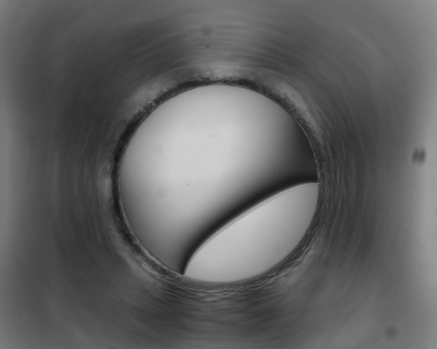X0000102250447200807250904