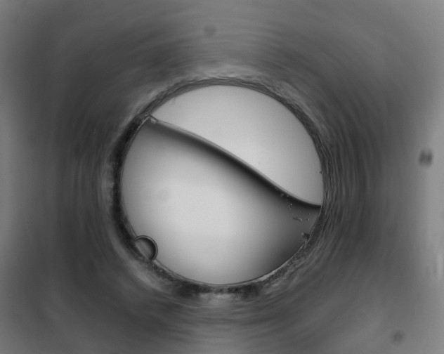 X0000102250448200807250904