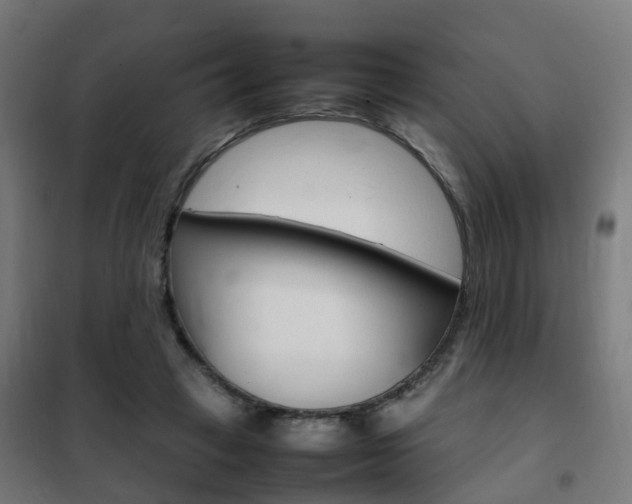 X0000102250449200807250904