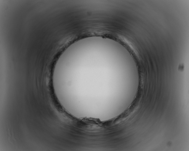 X0000102250451200807250904