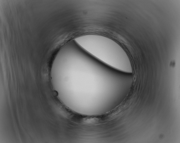X0000102250452200807250904