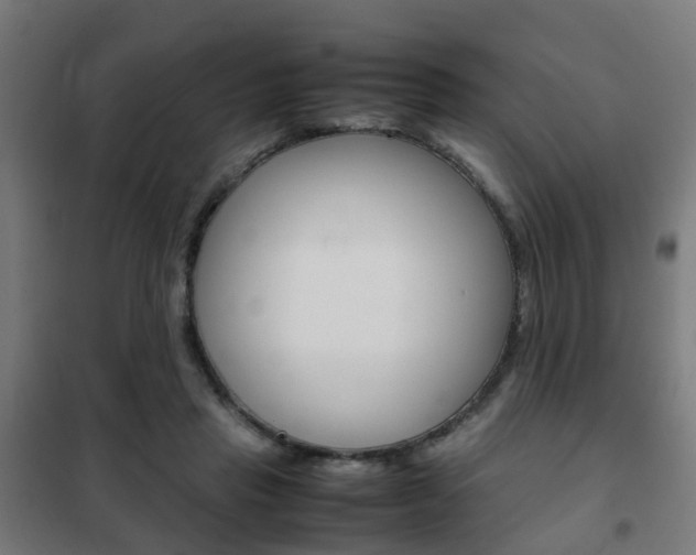 X0000102250453200807250904