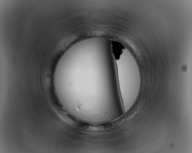 X0000102250455200807250904