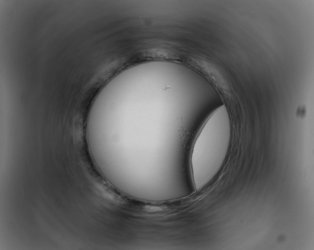 X0000102250457200807250904