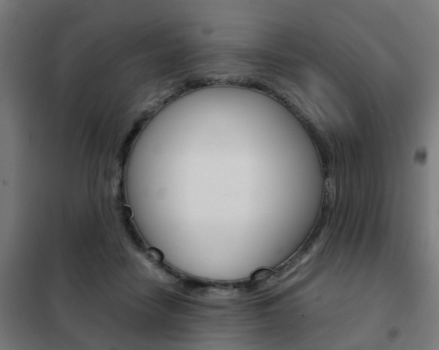 X0000102250458200807250905