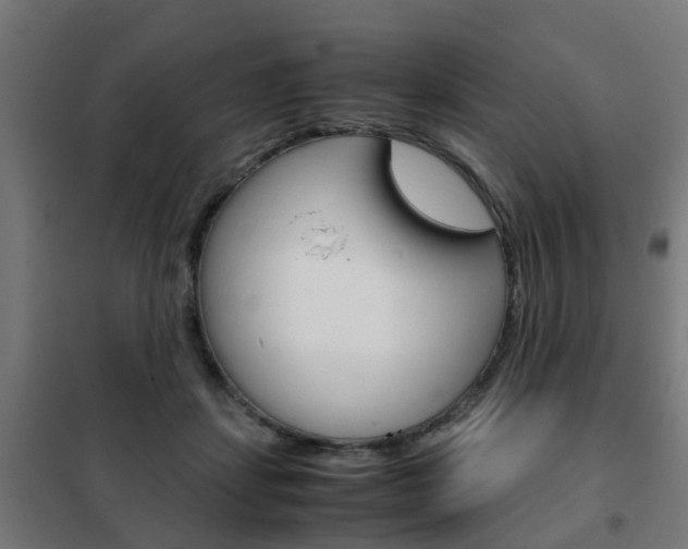 X0000102250459200807250905