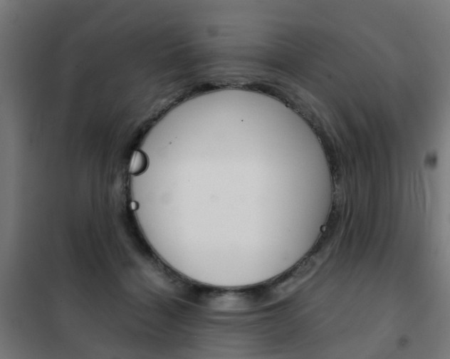 X0000102250460200807250905