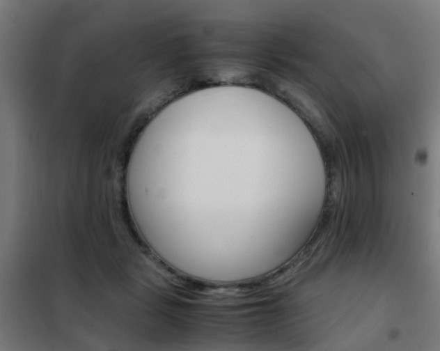 X0000102250461200807250905