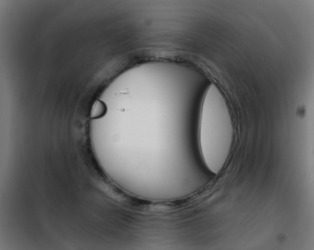 X0000102250462200807250905