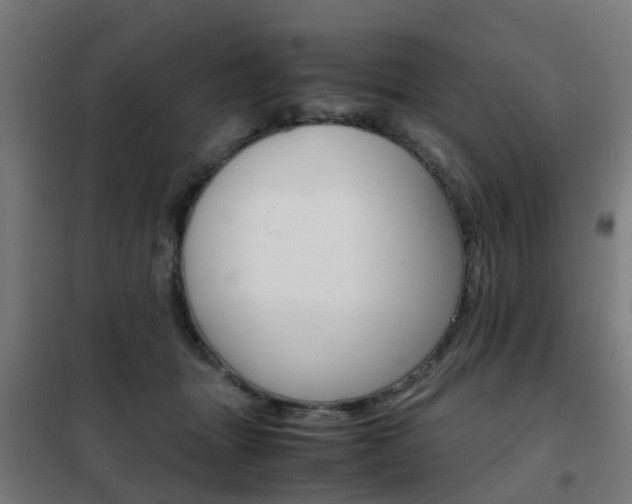 X0000102250463200807250905