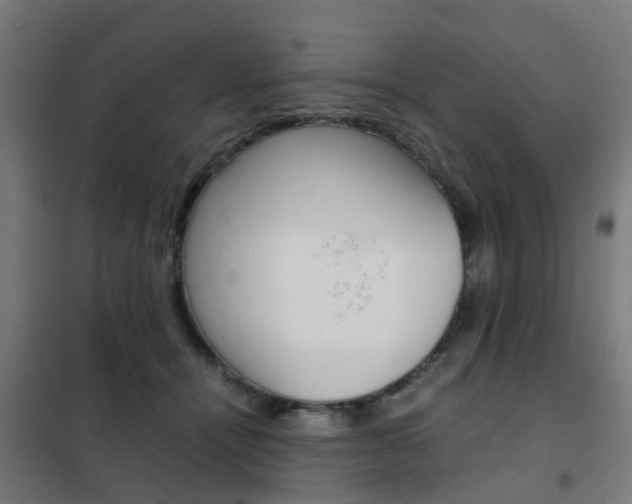 X0000102250464200807250905