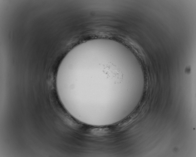 X0000102250465200807250905