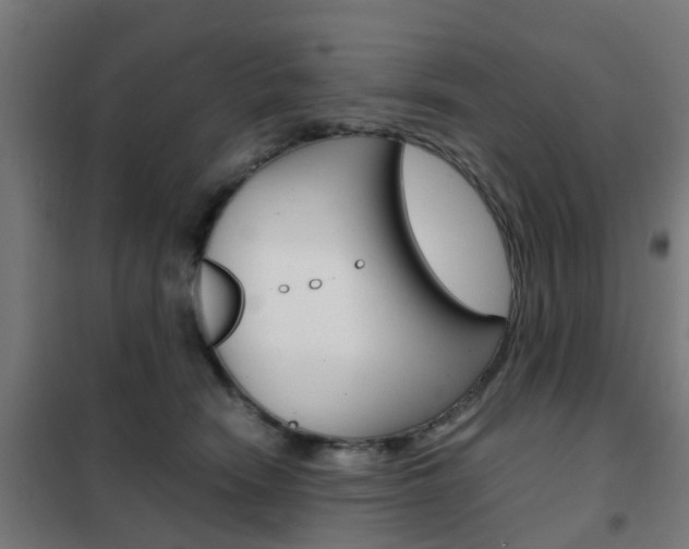 X0000102250466200807250905