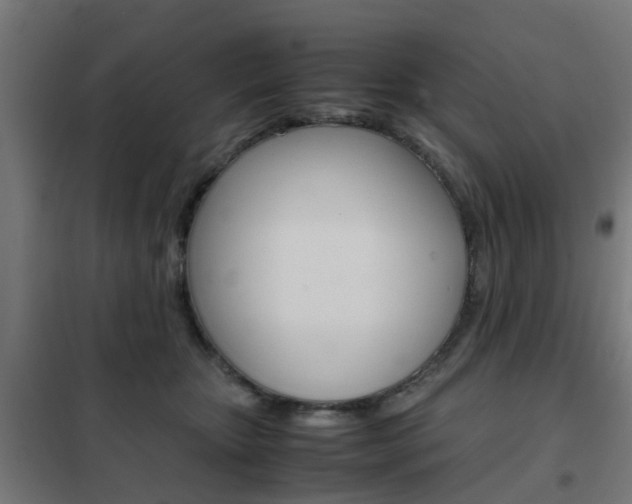 X0000102250467200807250905