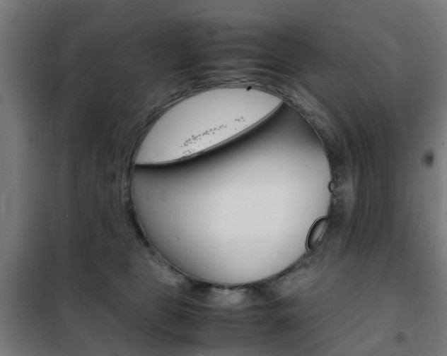 X0000102250469200807250905