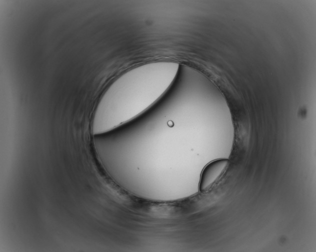 X0000102250470200807250905