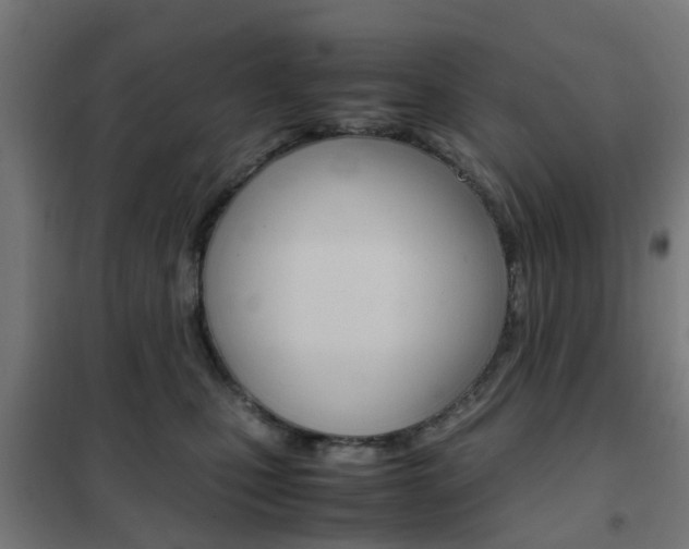 X0000102250471200807250905