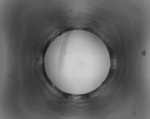 X0000102250472200807250905