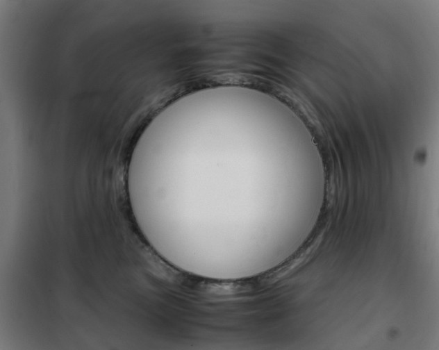 X0000102250473200807250905