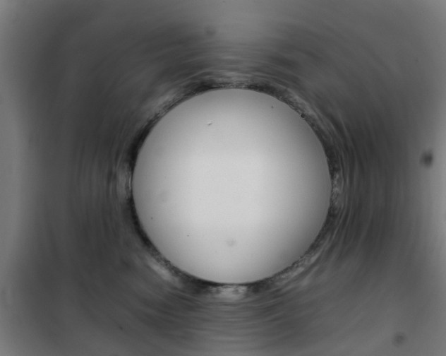 X0000102250474200807250905