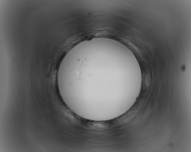 X0000102250475200807250905