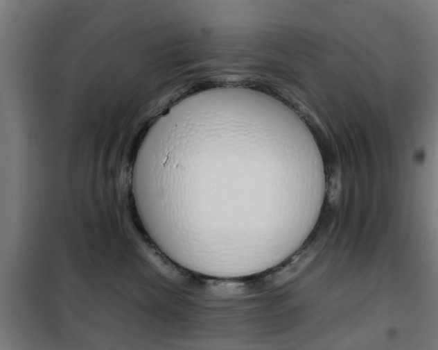 X0000102250476200807250905