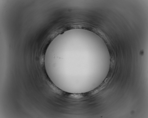 X0000102250477200807250905