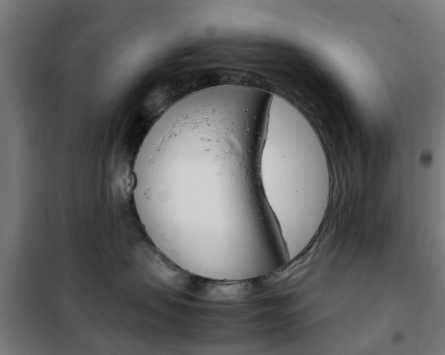 X0000102250479200807250905