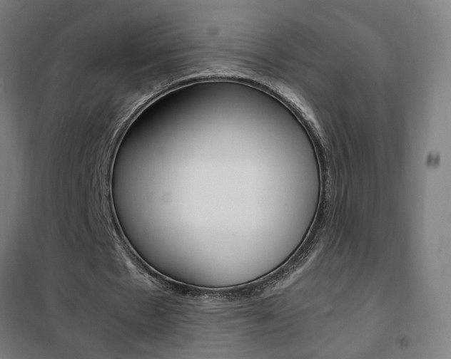 X0000102250481200807250904