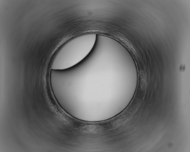 X0000102250482200807250904