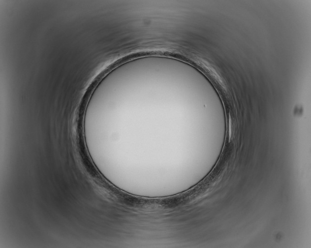 X0000102250483200807250904