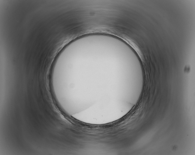 X0000102250485200807250904