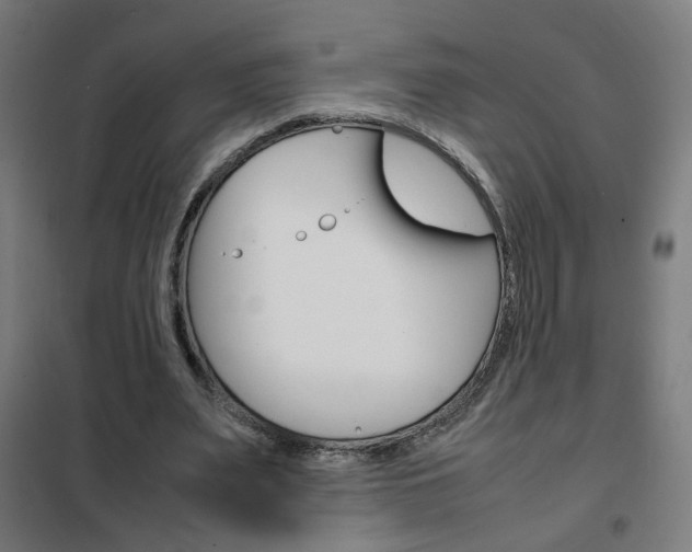 X0000102250487200807250904