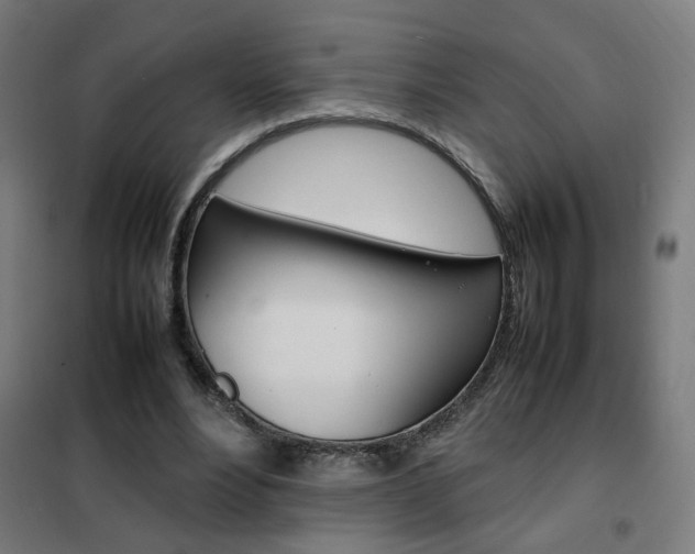 X0000102250488200807250904