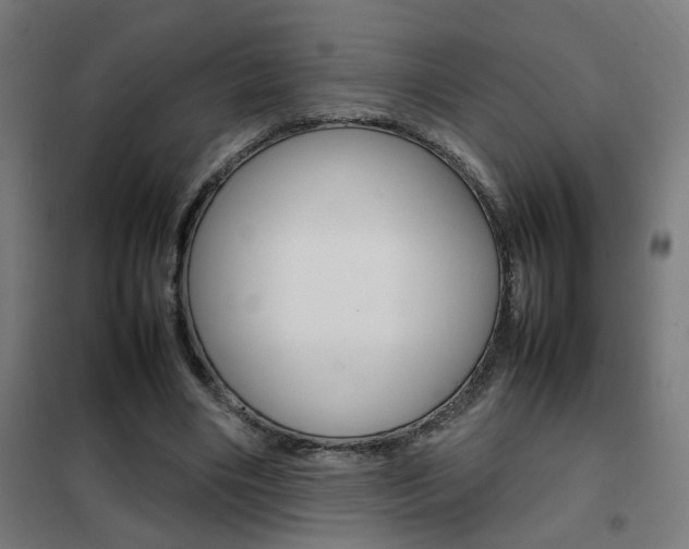 X0000102250490200807250904