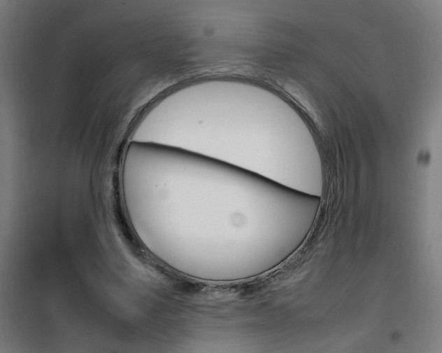 X0000102250491200807250904