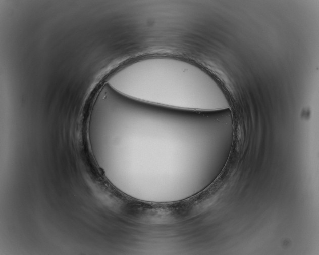 X0000102250492200807250904