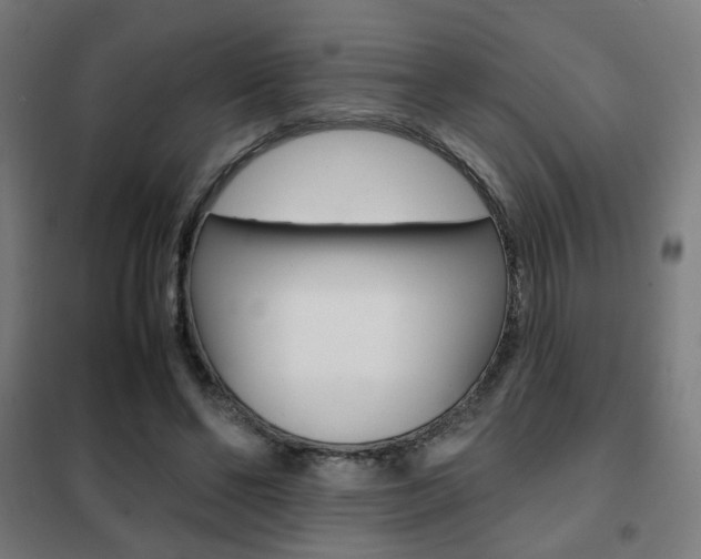 X0000102250494200807250904